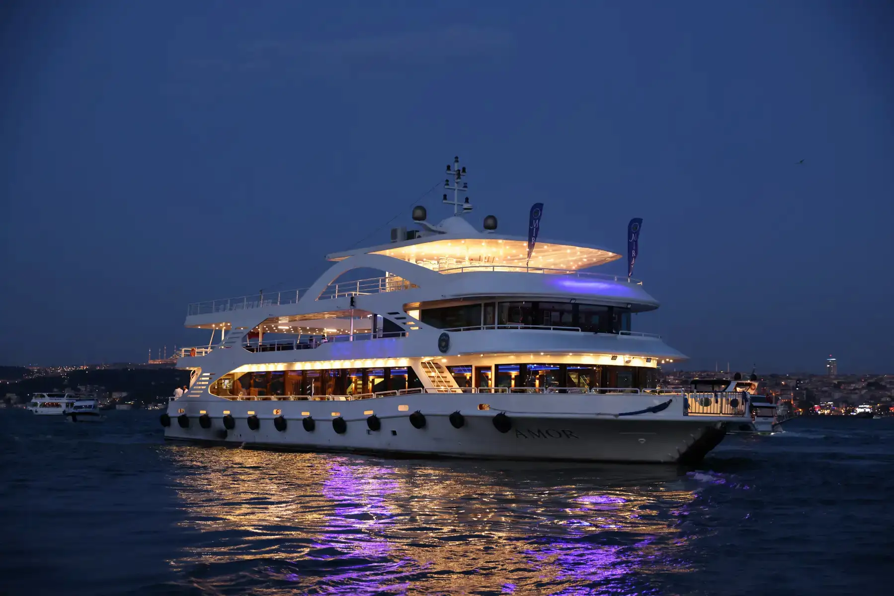 Night Cruise in bosphorus Istanbul